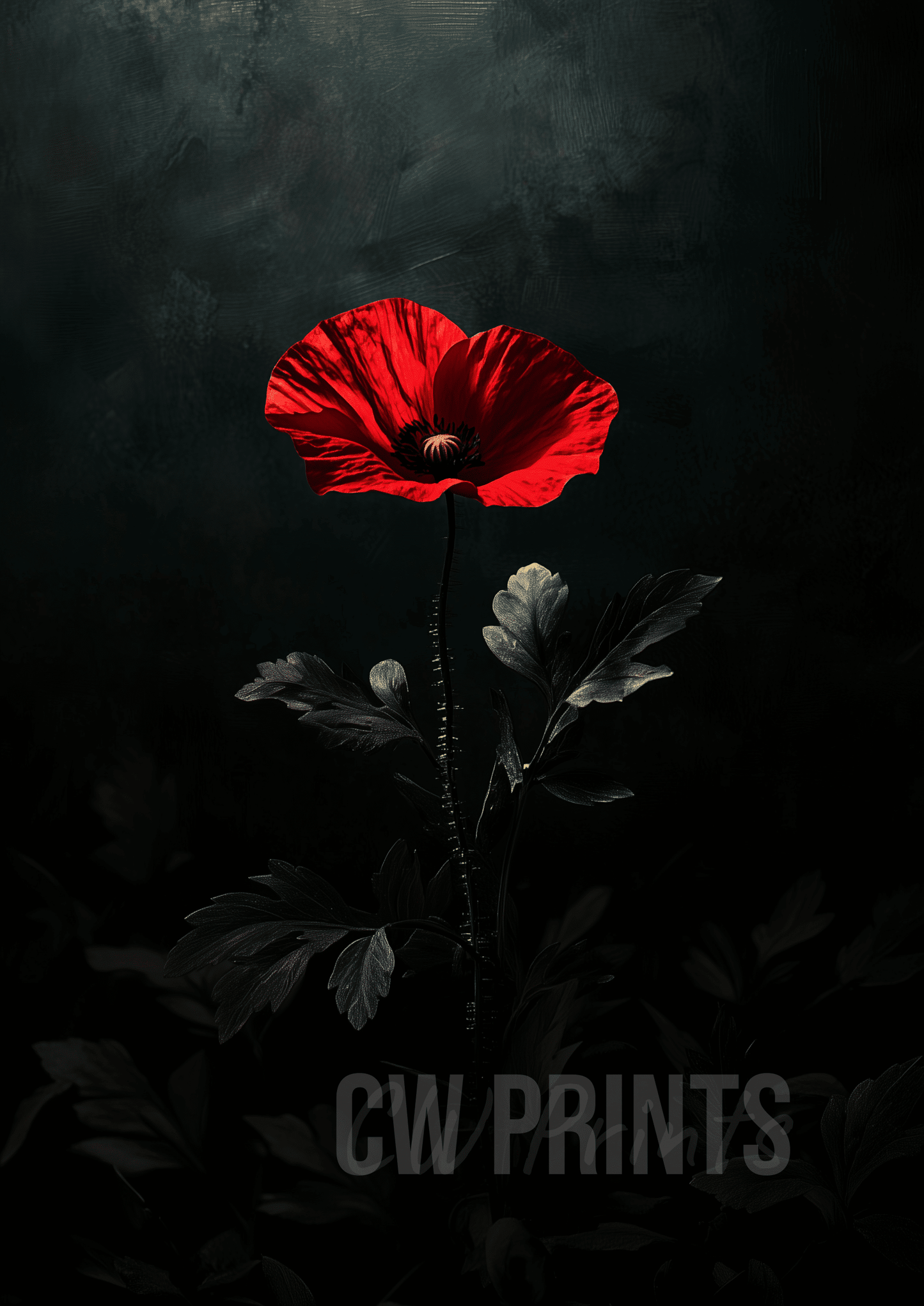 Remembrance Day Poppy & Soldier Art Print Set – Honouring the Brave